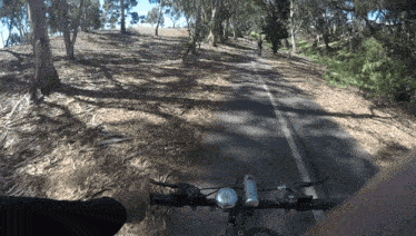a person is riding a bike on a road with trees on the side