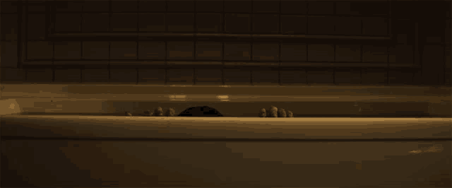 a person peeking out of a bathtub with their hands visible