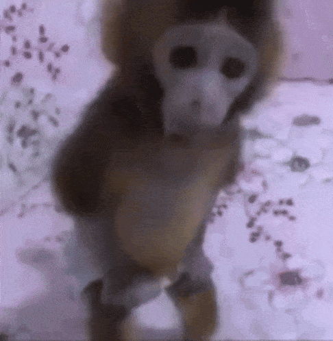 a monkey is standing on its hind legs on a bed with flowers in the background .