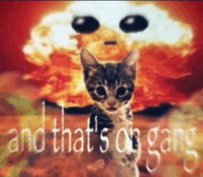 Cat Explosion Meme - Cat Explosion Gang - Discover & Share GIFs