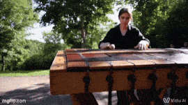 a woman is playing a wooden xylophone in a park with trees in the background ..