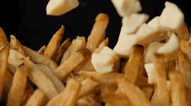 a pile of french fries with cheese falling from the top