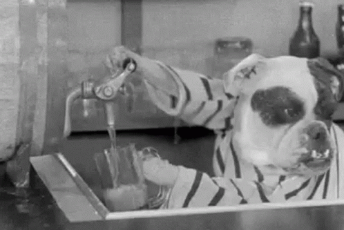 Dogville Booze GIF - Dogville Booze Dogs GIFs
