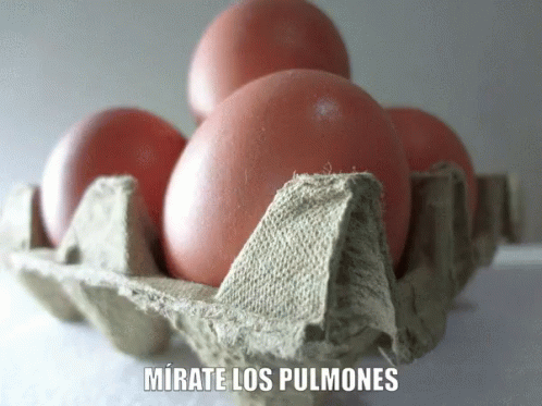 Huevos Pulmones GIF - Huevos Pulmones Huevospulmones GIFs