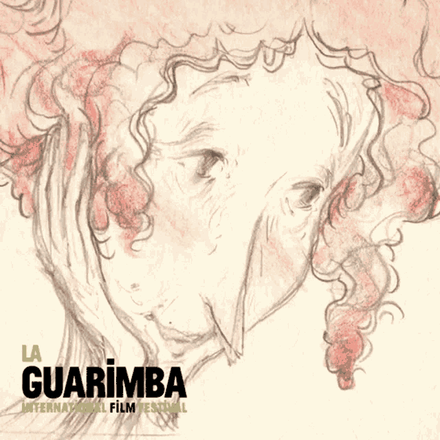 Guarimba Realizing GIF - Guarimba Realizing Recalling GIFs