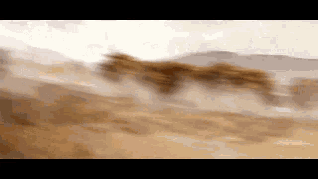 a blurred image of a horse running through a desert
