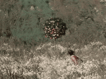 a woman in a red dress is walking through a field of flowers