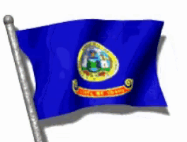 a blue flag with a gold emblem and the words " united states " on it