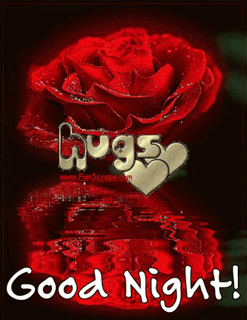 a picture of a red rose with the words good night written below it