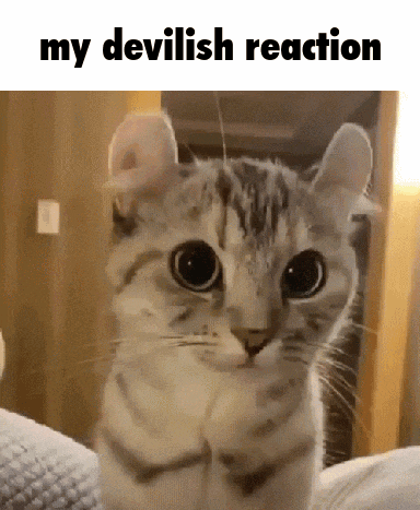 a cat is looking at the camera with the words my devilish reaction above it