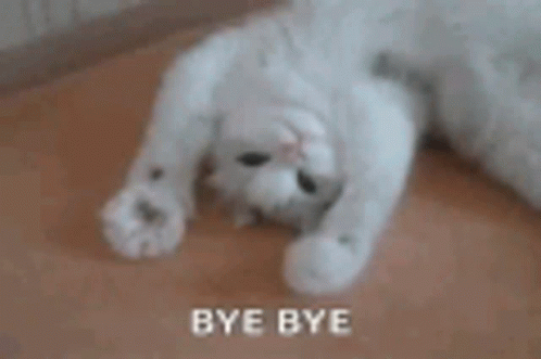Bye Bye Cat GIF - Bye Bye Cat Kitten GIFs