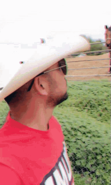 Horse Gif GIF