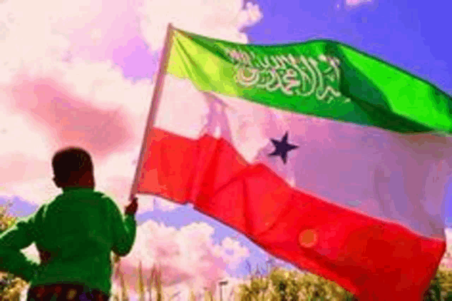 Somali Somaliland Meme