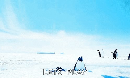 a group of penguins standing on top of a snow covered field with the words let 's play written below them .