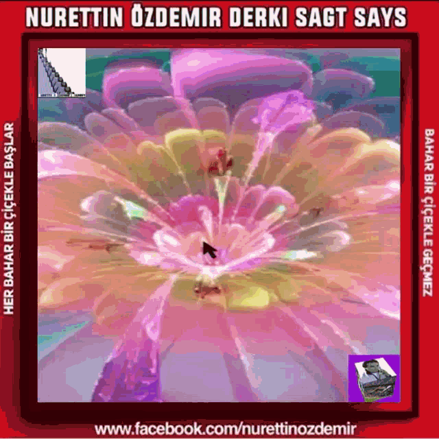 Flower Blumeçiçek Nurettin Ozdemir Derki Sagt Says GIF - Flower Blumeçiçek Nurettin Ozdemir Derki Sagt Says Flowing GIFs