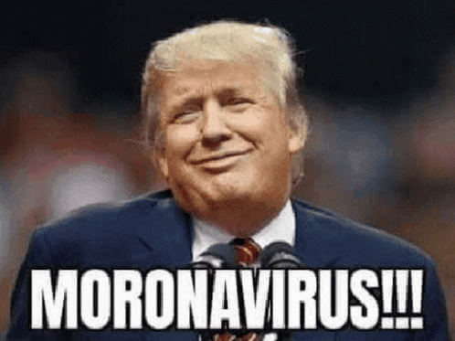 Trump Moron GIF - Trump Moron Corona Time GIFs