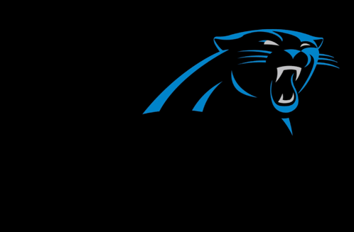Carolina Panthers Go Panthers GIF