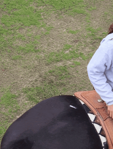 a person riding on the back of a black horse in a field