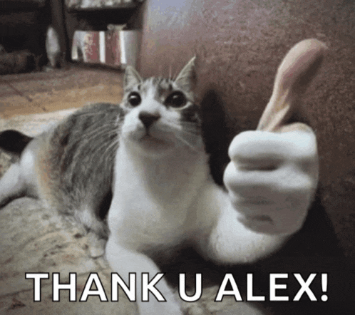 a cat giving a thumbs up with the words thank u alex