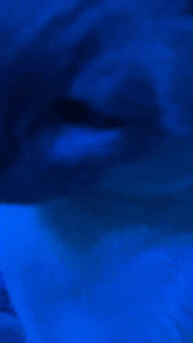 a blurry picture of a person 's face in a dark blue background