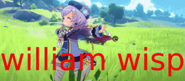a video game character named william wisp is standing in a field of grass .