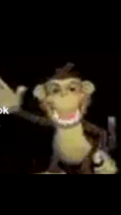 a close up of a monkey 's face with the word ok in the background