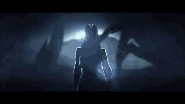 a shadow of a person is cast on a wall