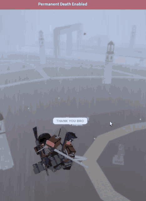 a screenshot of a video game with the words permanent death enabled