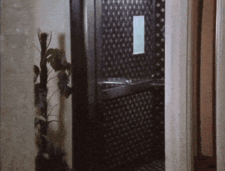 a bathroom with a black and white geometric pattern