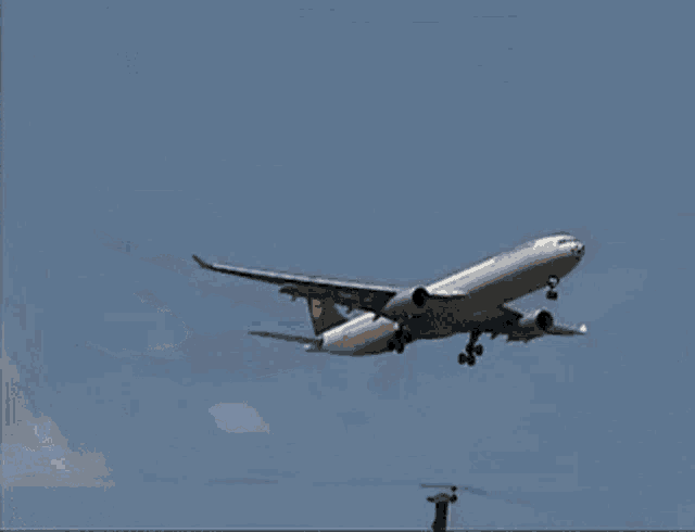 Airplane Who GIF - Airplane Who Asked GIFs