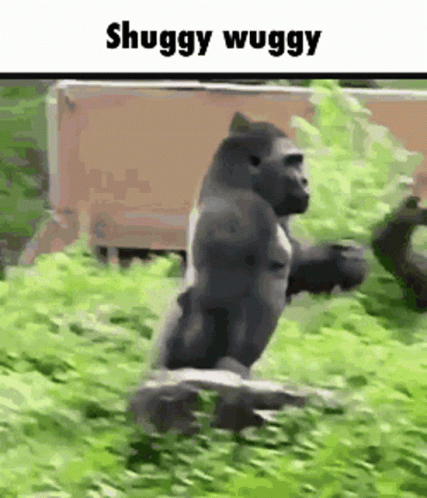 Shuggy Wuggy Gorilla GIF - Shuggy Wuggy Gorilla Running GIFs