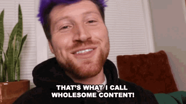 Thats What I Call Wholesome Content Good Content GIF - Thats What I Call Wholesome Content Good Content Good Vibes Content GIFs