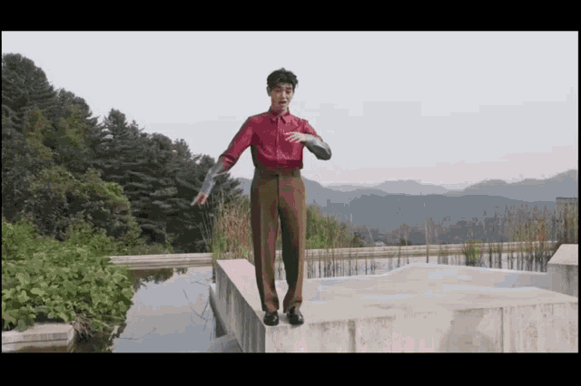 a man in a red shirt and brown pants stands on a ledge overlooking a body of water