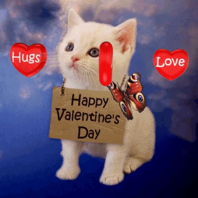 a kitten is holding a card that says happy valentine 's day