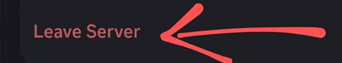 a red arrow pointing to the leave server
