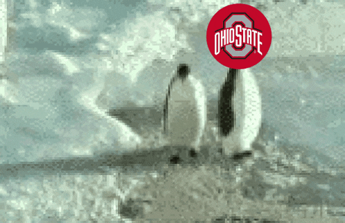 a couple of penguins are standing in the snow with an ohio state logo in the background