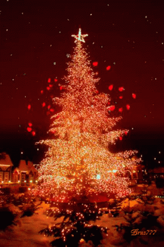 Christmas Tree Lights GIF - Christmas Tree Lights Winter GIFs