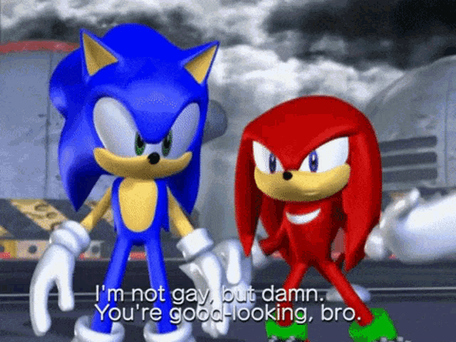 sonic the hedgehog and knuckles are standing next to each other