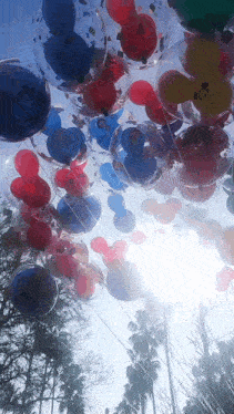 a bunch of mickey mouse balloons are hanging from a string