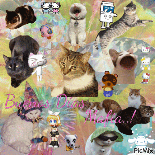 a collage of cats with the words buenos dias mafia