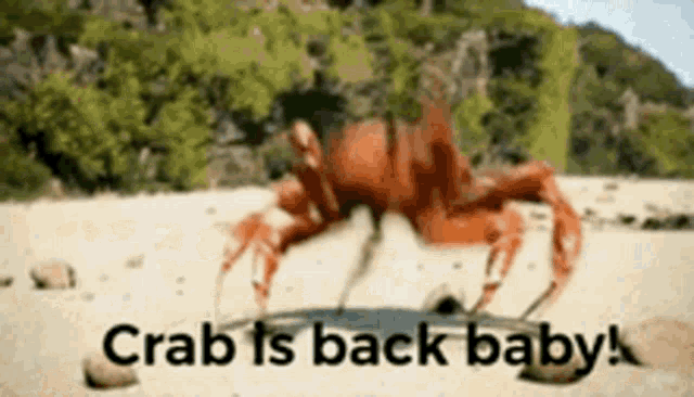 Crabmeme Back GIF - Crabmeme Back GIFs