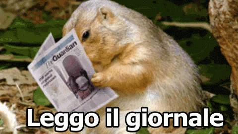 Marmotta Leggere Giornale Animale GIF - Groundhog Marmot Read GIFs