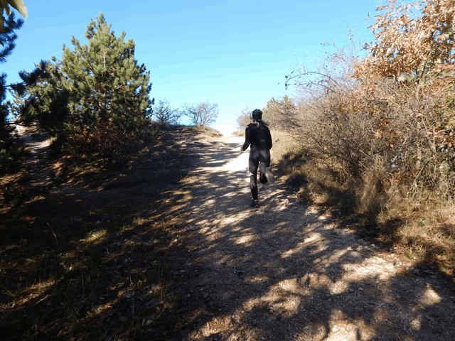 a person walking down a dirt road with trees on the side