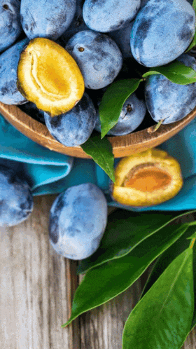 a wooden bowl filled with blue plums with leaves on a table