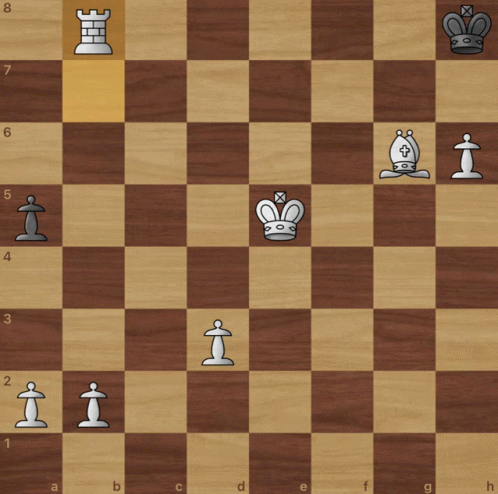 Chess Sandbug88888 GIF