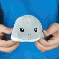 a person is holding a stuffed animal in their hands with a sad face on it .