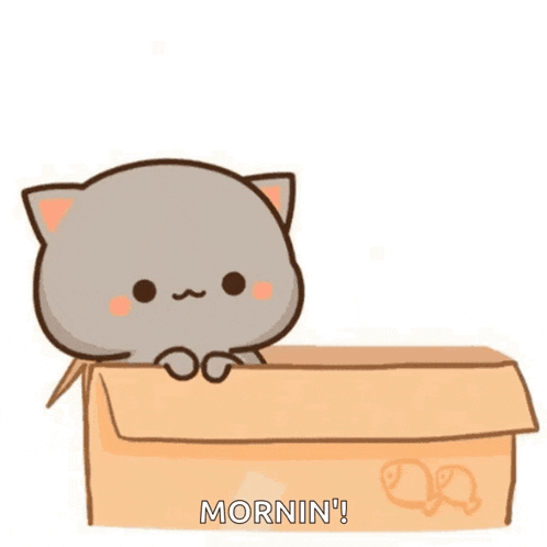two cartoon cats are sitting in a cardboard box and one of them is saying morning .