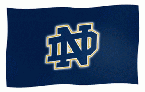 Notre Dame Fighting Irish University Of Notre Dame GIF - Notre Dame Fighting Irish University Of Notre Dame College Football GIFs