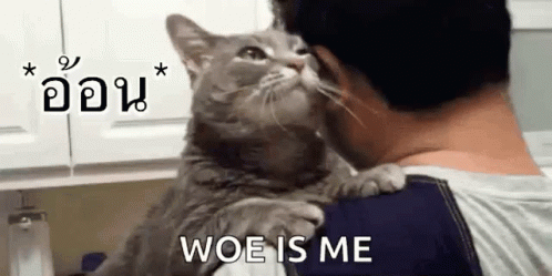Cat Hug Me GIF - Cat Hug Me Love Me GIFs
