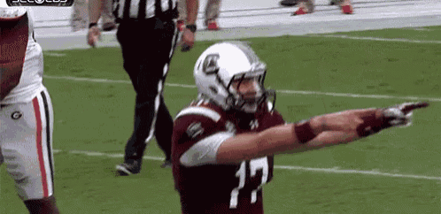 Gamecocks Pumped GIF